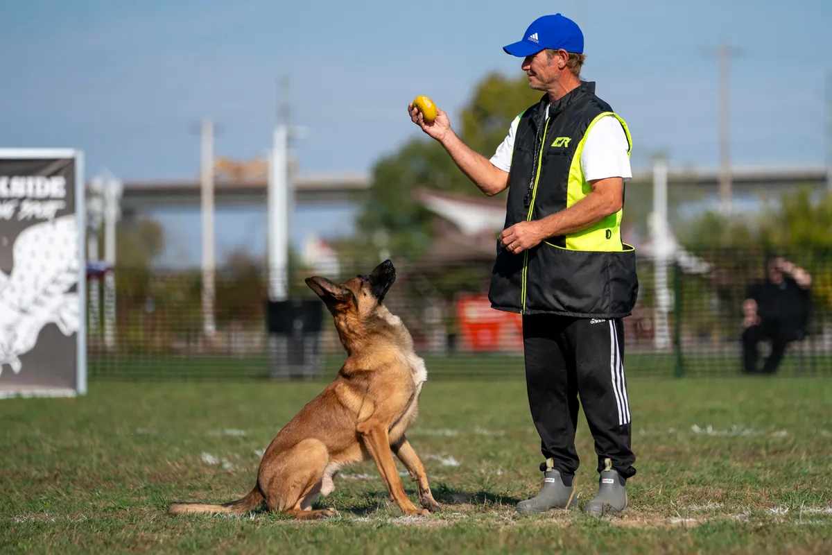 Joe Underwood holding a ball while a Belgian Malinois sits attentively and watches