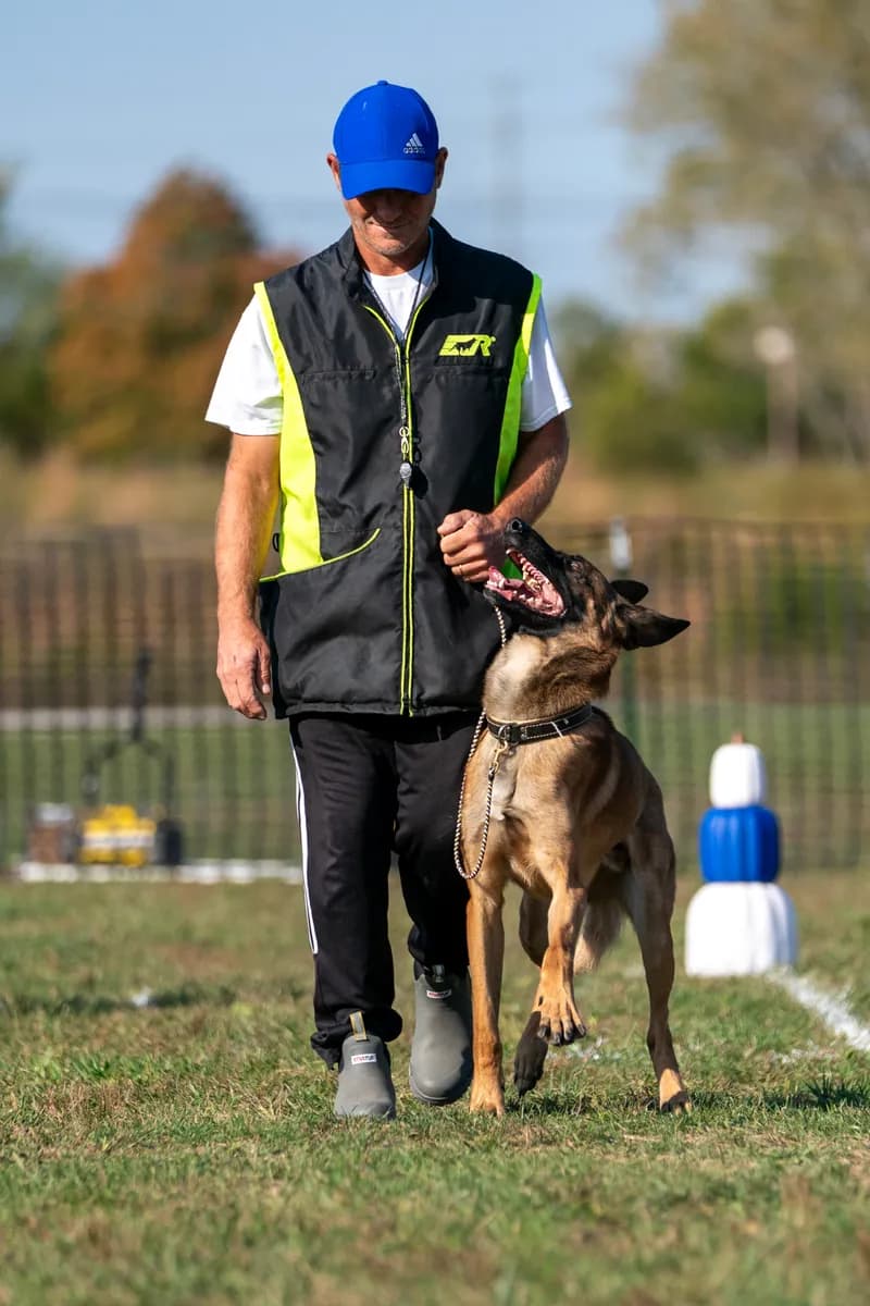 Joe Underwood, founder of Underwood K9, walking in a training field with a Belgian Malinois looking up at him
